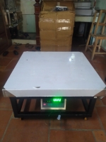 Cân ghế ngồi điện tử DI-28SS